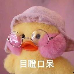 娱乐吃瓜君鸭,揭秘娱乐圈那些不为人知的幕后故事